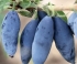 Чулымская